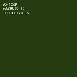 #243C0F - Turtle Green Color Image